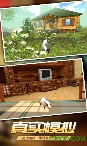 真实老鼠模拟(精灵鼠小弟)(1)