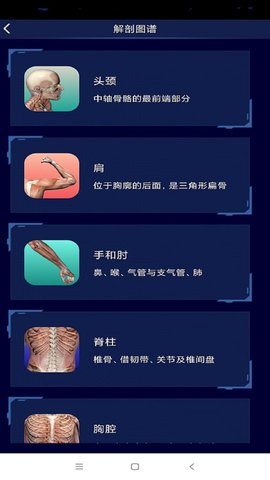3D人体解剖图谱-图2