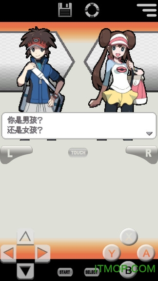 口袋妖怪白2版(3)