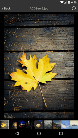 ACDSee Mobile Sync图3