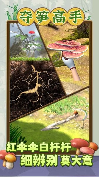 夺笋高手官网版(3)