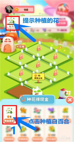 开心花园赚钱版