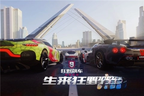 狂野飙车9竞速传奇最新版(4)