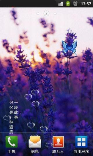 薰衣草等爱情锁屏动态壁纸图3