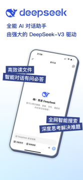 DeepSeek网页版图4