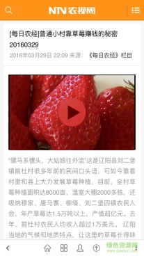 ntv电视直播最新版本