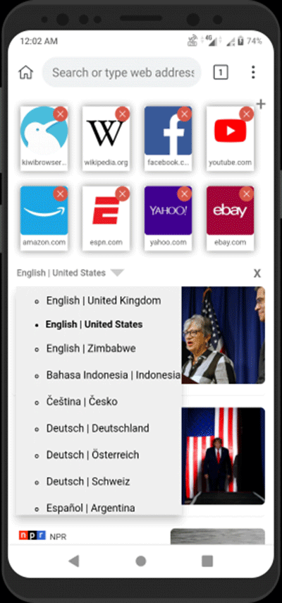 kiwi browser图5