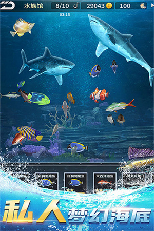 钓鱼达人  安卓版