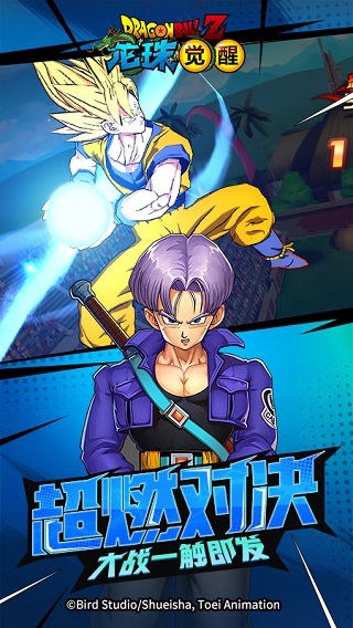 龙珠觉醒国际服