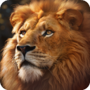 野兽领主新世界安装  安卓版