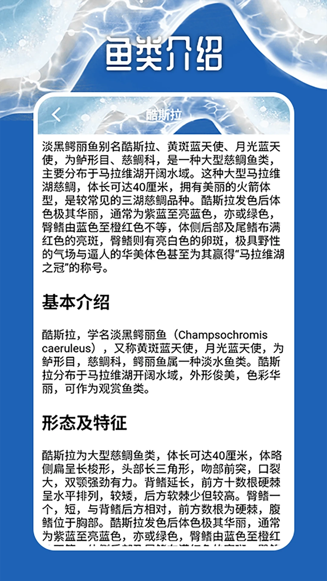 天天钓鱼大师达人版