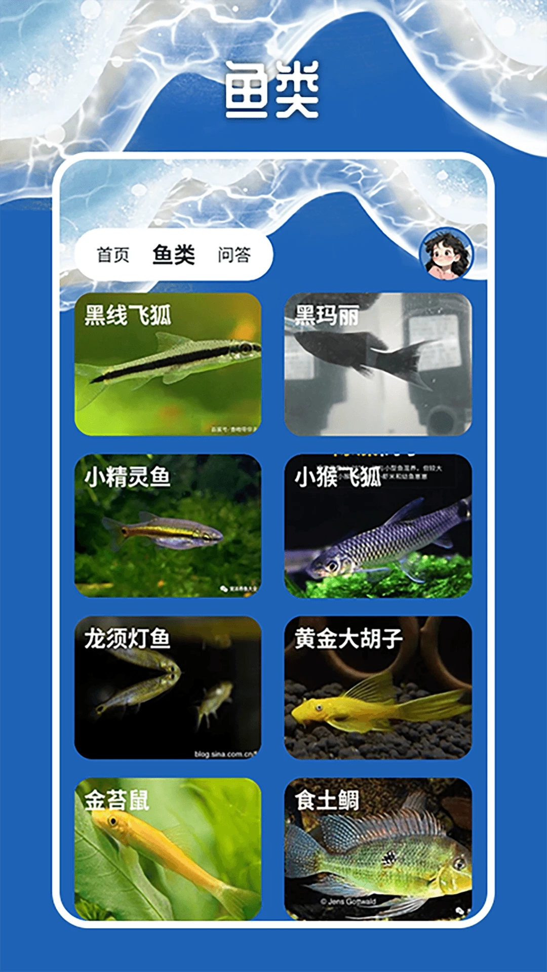 天天钓鱼大师达人版