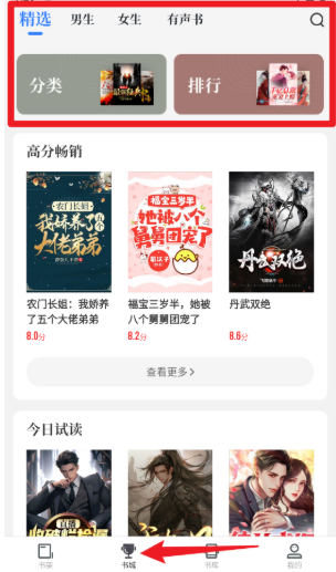 中文书城老版本图12