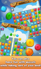 鸟鸟人生中文版