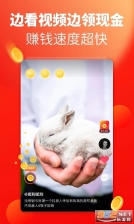 秘乐领红包赚钱版