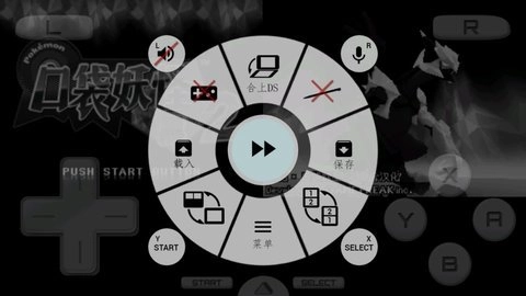 口袋妖怪白2中文版(3)