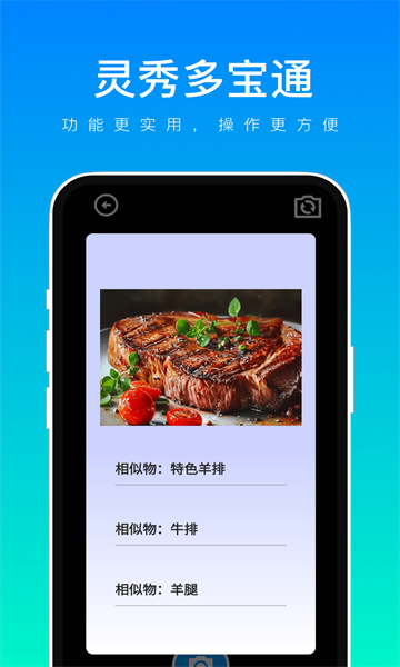 灵秀多宝通手机版图2