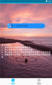 磁力兔子搜索引擎app图3
