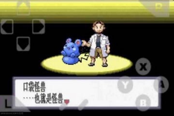 口袋妖怪红宝石手游版图2