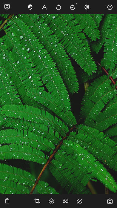 泼辣修图免费版图2