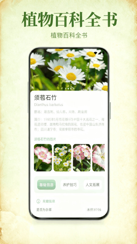 花札物语花草记图3