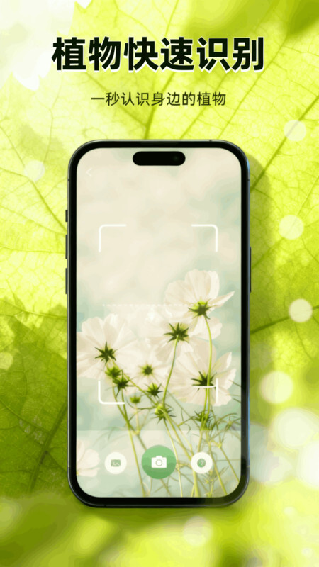 花札物语花草记图1