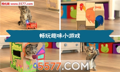 LittleKitten游戏图1