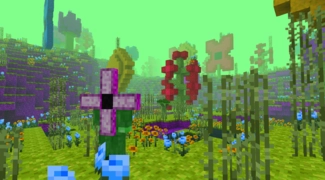 我的世界虚无世界3手机版(1)