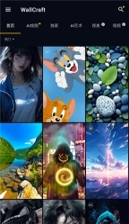 Wallcraft官网版图1