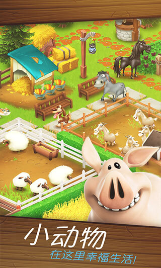 hayday最新版(4)