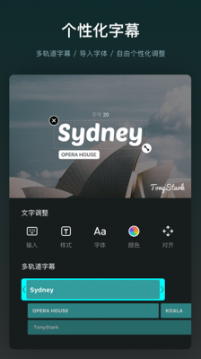 vn视频剪辑中文版