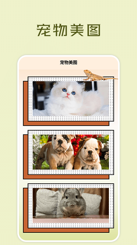 宠物小组件盒子图1