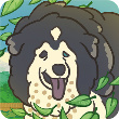 老友狗狗游戏手机版