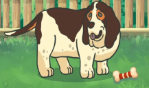 老友狗狗游戏手机版