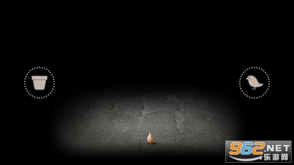 有丝分裂手机版