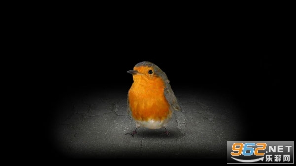 有丝分裂手机版