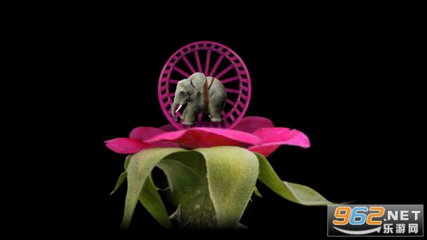 有丝分裂手机版