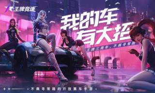 王牌竞速vivo渠道服图1