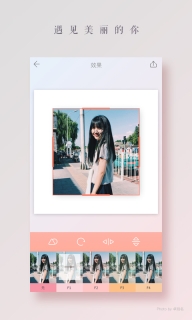 拼图酱图5
