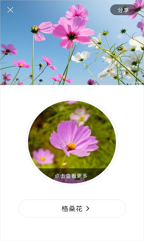 识花图2