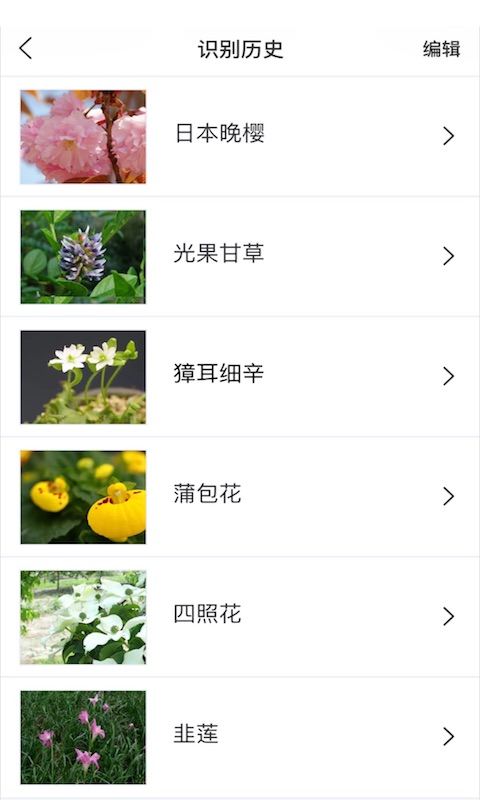 识花图3
