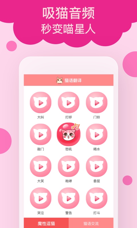 猫语翻译官图4
