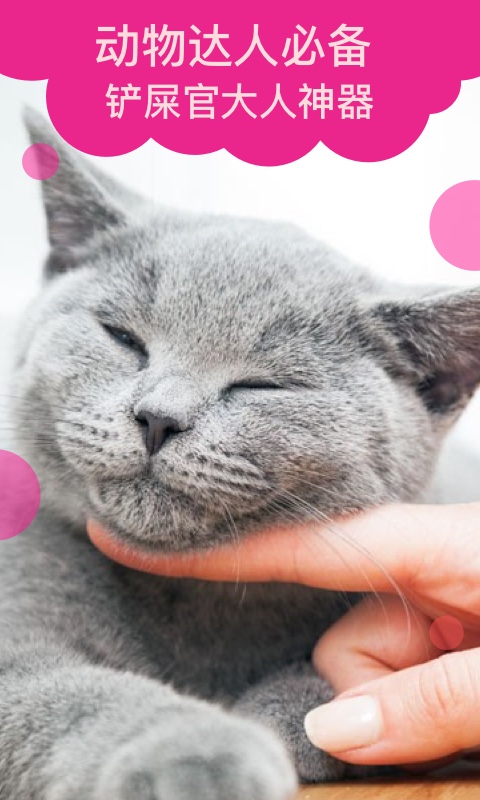 猫语翻译官图5