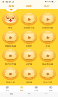 动物翻译器图3