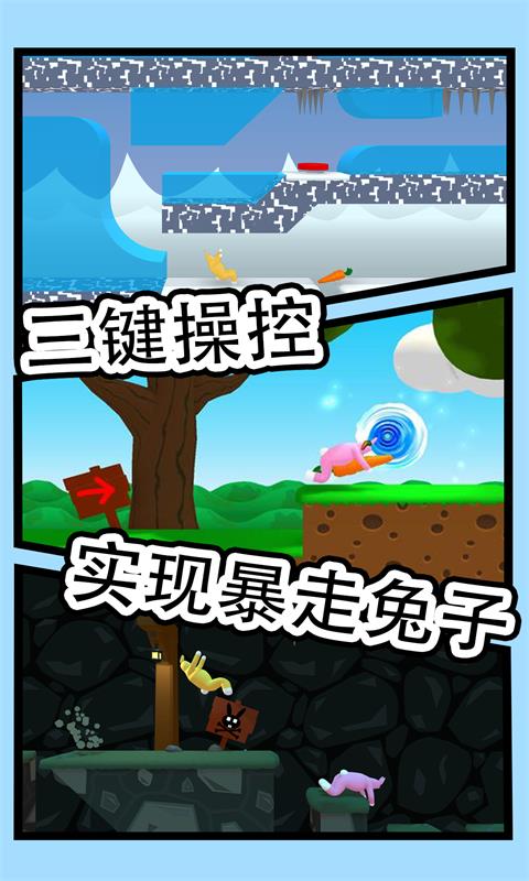 疯狂兔子人(5)