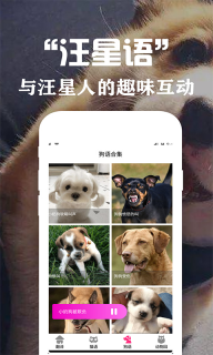 狗语翻译交流器图3