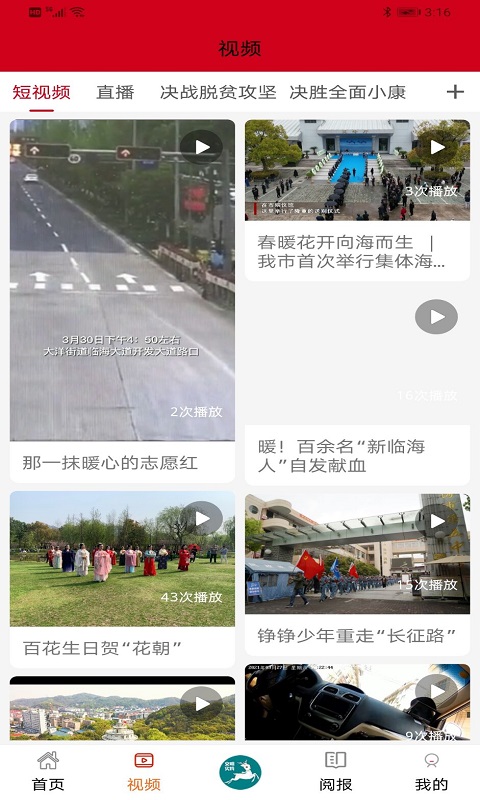 掌心临海图2