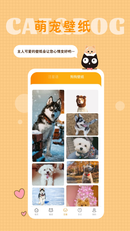 猫语狗语转换器图5