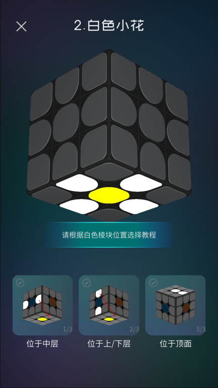 魔方学院-3D教程计时快解图3