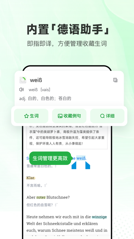 每日德语听力图5